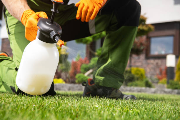 Best Flea Control Services  in Berry College, GA