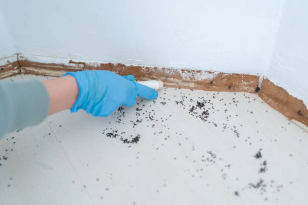  Berry College, GA Pest Control Pros