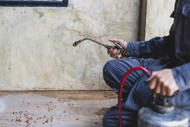 Best Affordable Pest Control Services  in Berry College, GA